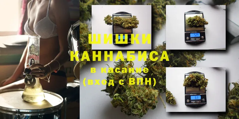 МАРИХУАНА White Widow  купить наркотик  Зеленогорск 